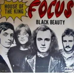 Focus : Black Beauty
